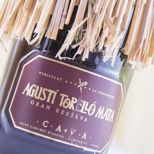 Agustí Torelló Gran Reserva Brut Nature 2016 4 Agustí Torelló Gran Reserva Brut Nature 2016 - Imagen 2