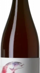 Barranco Oscuro Salmónido 2019