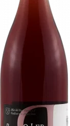 Bernat Oller Rosado 2019