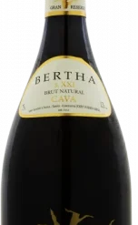 Bertha Siglo XXI Brut Nature 2009 Magnum