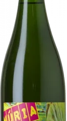 Clos Lentiscus Núria Montònega 2017