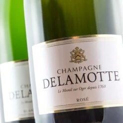 Delamotte Brut Rosé -LICORERÍA delamotte brut rose 500x500 1
