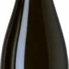 Emilien Feneuil Les Puits Blanc De Noirs Premier Cru 2018 -LICORERÍA emilien feneuil les puits blanc de noirs premier cru 0x500 1