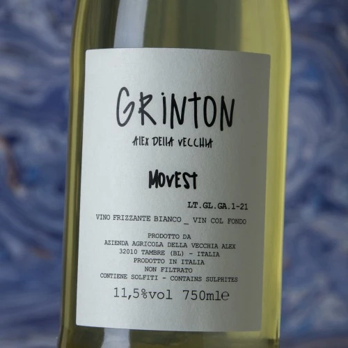 Grinton Movest 2021 4 Grinton Movest 2021 - Imagen 2