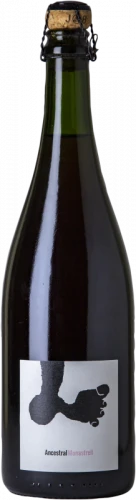 Joan Rubió Monastrell Ancestral 2021