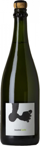 Joan Rubió Xarel.lo Ancestral 2021 Magnum