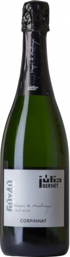 Júlia Bernet 60x40 Brut Nature 2019