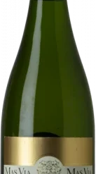 Mestres Mas Via 2006