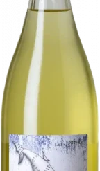 Microbio Va-llena X Jonás 2019