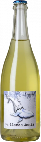 Microbio Va-llena X Jonás 2019