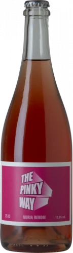 Nuria Renom The Pinky Way 2022 3 Nuria Renom The Pinky Way 2022