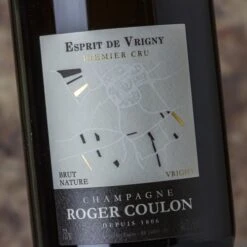 Roger Coulon Esprit De Vrigny Premier Cru Brut Nature -LICORERÍA roger coulon esprit de vrigny premier cru brut nature 500x500 1