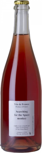 Searching For The Space Monkey 2018