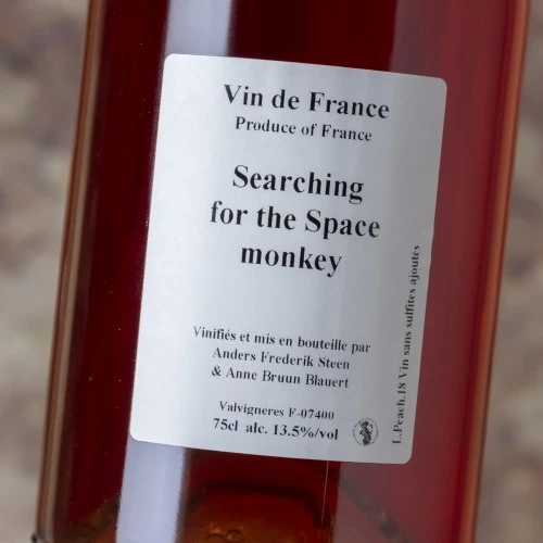 Searching For The Space Monkey 2018 4 Searching For The Space Monkey 2018 - Imagen 2