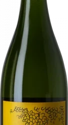 Tinc Set Ancestral 2022