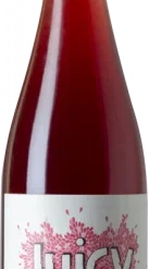 Vinyes Tortuga Juicy 2022