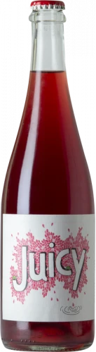 Vinyes Tortuga Juicy 2022